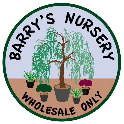 Barry's Nursery